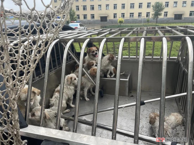 微信图片_20210901113648