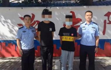 凌河公安细致侦查将盗贼一网打尽​