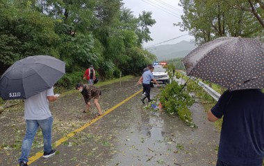 桓仁警民冒雨清理8棵拦路大树