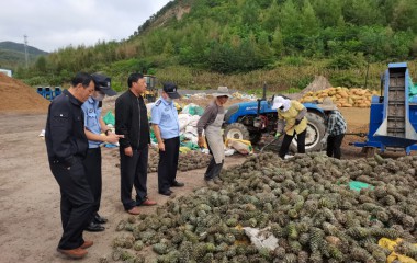 桓仁护塔巡逻队解民忧办实事