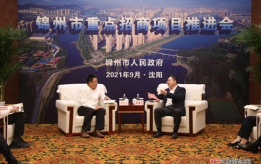 锦州代市长王心宇会见锦州九泰药业、中国北方能源基地项目负责人