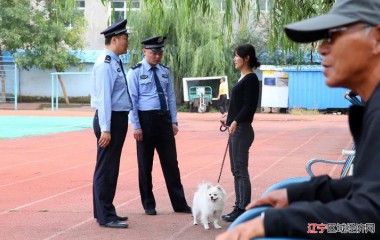 国庆长假——阜新公安全警坚守岗位，守护平安！