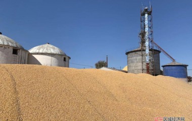 义县对粮食烘干企业、花生加工企业进行专项整治