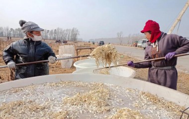 康平县苇塘马场：小根蒜收获大效益