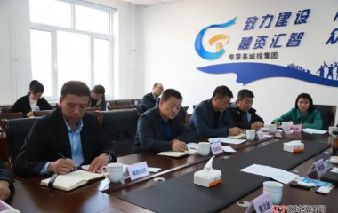 阜蒙县委书记刘彦鸿主持召开项目推进会