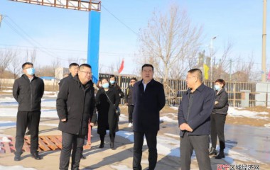 康平县政协提案专委会视察“重大项目”建设情况