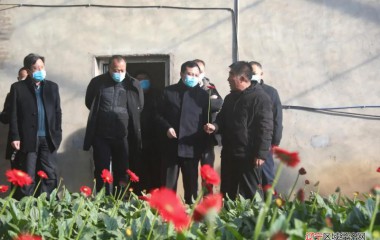 锦州代市长王心宇到基层调研强调：因地制宜发展特色产业