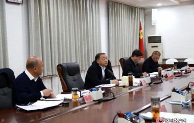 阜蒙县委理论学习中心组进行集中学习