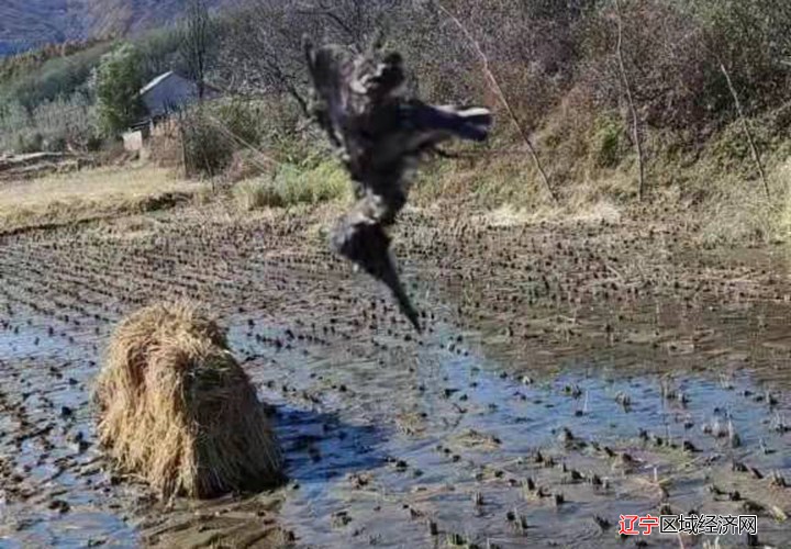 微信图片_20220224140453
