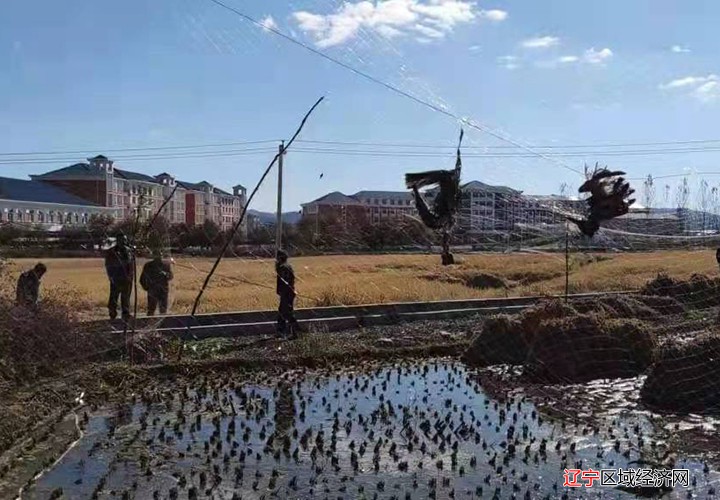 微信图片_20220224140449