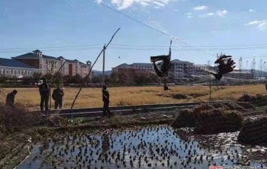 为抓鸟，他却自己落入法网