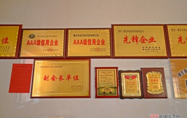 “喀左华电”紧扣发展主题推动矿山绿色发展