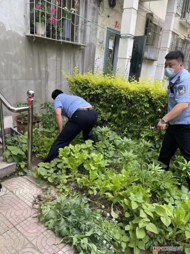 谷春阳2