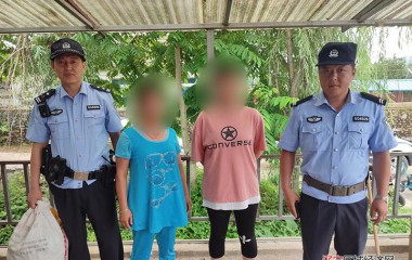 沙尖子派出所速破盗窃三枝九叶草案件