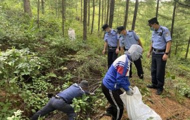 木盂子治安办组建护塔巡逻队