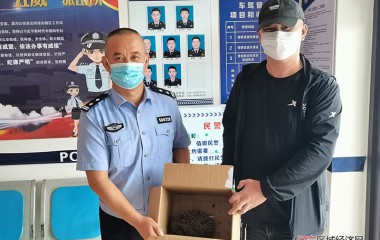 黑沟派出所警民联手救助受伤小刺猬