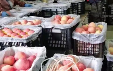 甘愿用汗水和激情热洒这块沃土！