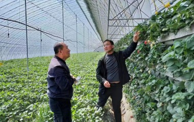 为贫困户搭建脱贫致富平台