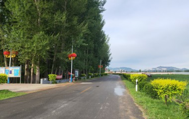 喀左县草场乡为创建文明城市增光添彩