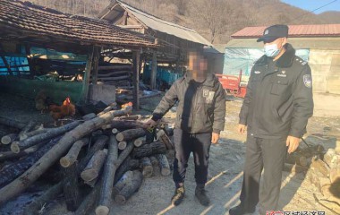 沙尖子派出所破获一起盗窃杂木案