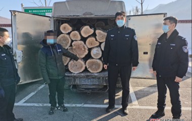 桓仁公安强化联勤联动，守护生态安全