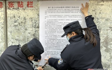 治安大队强化犬只管理举措