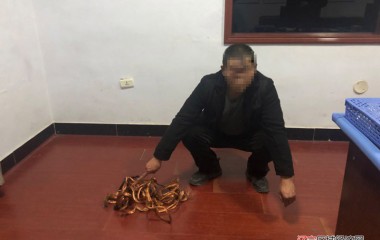 华来派出所破获一起涉企盗窃案件