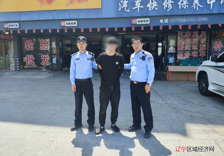 抓逃3