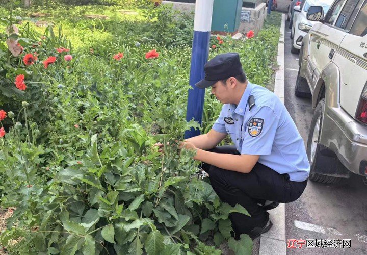 微信图片_20240617155455