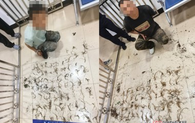 黑沟派出所破获林下参被盗案