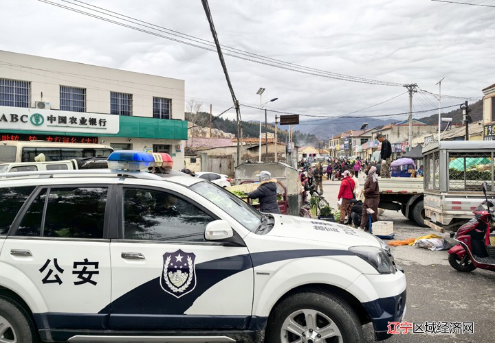 车巡