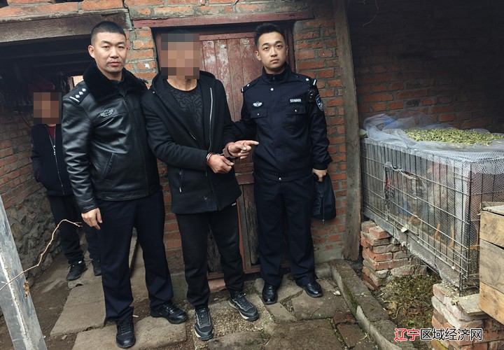 微信图片_20241112131813