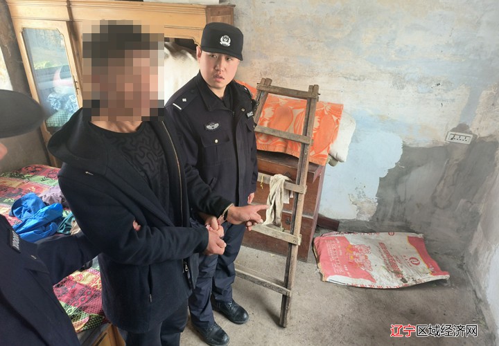 微信图片_202411121318141