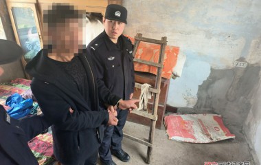 二棚甸子派出所速破系列盗窃案