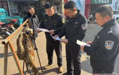 桓仁县公安局联合开展野生动物市场巡查