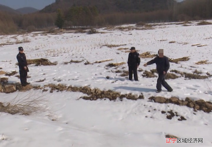 纠纷（田地）2