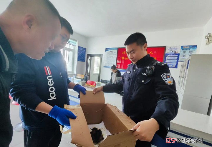 移交林业部门