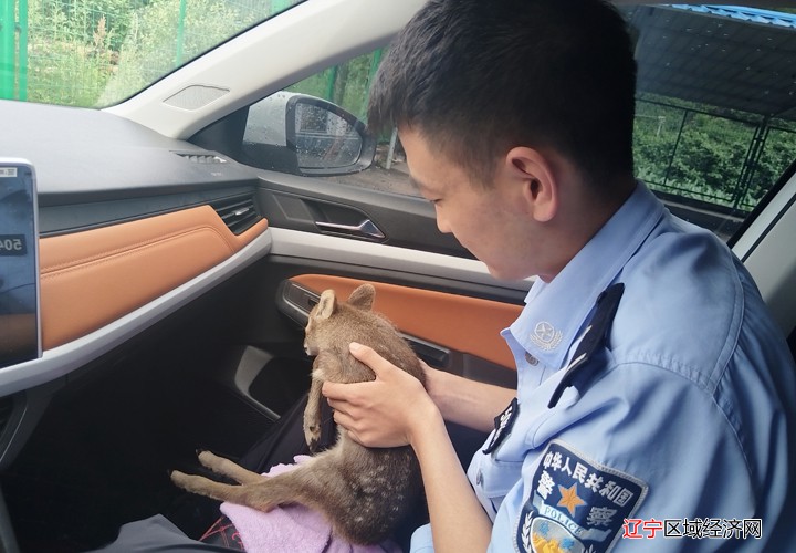 微信图片_20250630094207