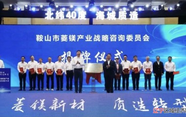 鞍山市菱镁产业高质量发展大会开幕